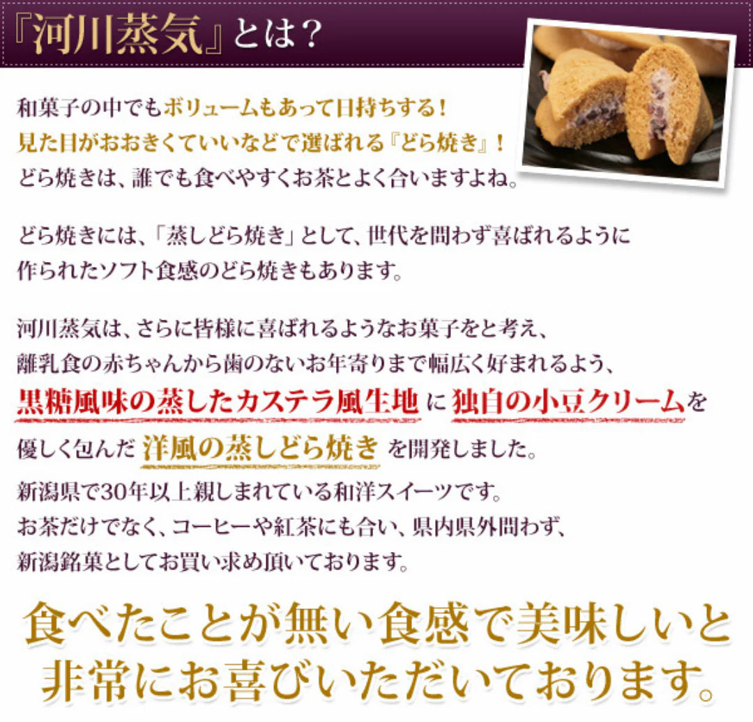 河川蒸気